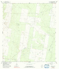 Download a high-resolution, GPS-compatible USGS topo map for Camp Garcia, TX (1992 edition)