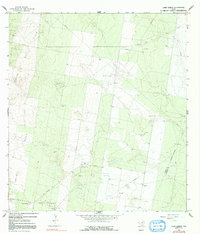 Download a high-resolution, GPS-compatible USGS topo map for Camp Garcia, TX (1991 edition)
