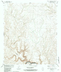 Download a high-resolution, GPS-compatible USGS topo map for Candilla Canyon East, TX (1984 edition)