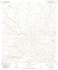 Download a high-resolution, GPS-compatible USGS topo map for Candilla Canyon West, TX (1984 edition)