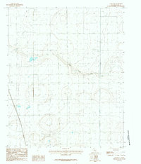Download a high-resolution, GPS-compatible USGS topo map for Canyon SE, TX (1984 edition)