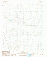 Download a high-resolution, GPS-compatible USGS topo map for Canyon SE, TX (1991 edition)
