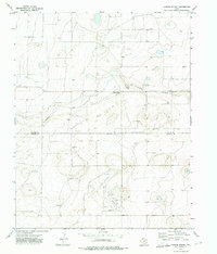 Download a high-resolution, GPS-compatible USGS topo map for Canyon School, TX (1975 edition)