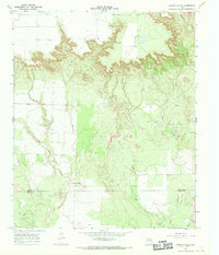 Download a high-resolution, GPS-compatible USGS topo map for Canyon Valley, TX (1969 edition)