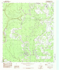 Download a high-resolution, GPS-compatible USGS topo map for Capers Ridge, TX (1986 edition)