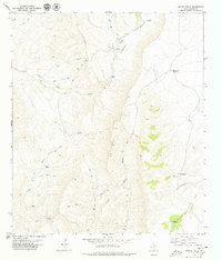 Download a high-resolution, GPS-compatible USGS topo map for Capote Falls, TX (1979 edition)