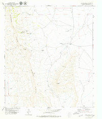 Download a high-resolution, GPS-compatible USGS topo map for Capote Peak, TX (1979 edition)