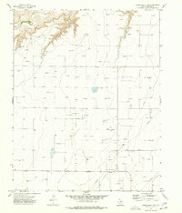 Download a high-resolution, GPS-compatible USGS topo map for Capps Switch NW, TX (1977 edition)