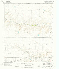 Download a high-resolution, GPS-compatible USGS topo map for Capps Switch SE, TX (1977 edition)