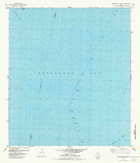 Download a high-resolution, GPS-compatible USGS topo map for Carancahua Pass, TX (1981 edition)