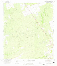 preview thumbnail of historical topo map of Dimmit County, TX in 1972