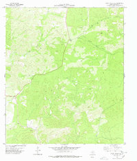 Download a high-resolution, GPS-compatible USGS topo map for Carta Valley SE, TX (1978 edition)