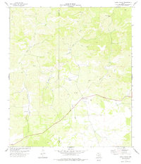 Download a high-resolution, GPS-compatible USGS topo map for Carta Valley, TX (1978 edition)