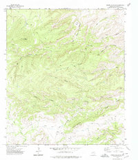 Download a high-resolution, GPS-compatible USGS topo map for Casket Mountain, TX (1974 edition)