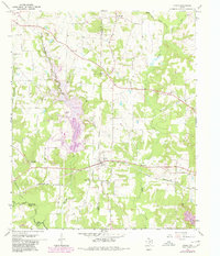 Download a high-resolution, GPS-compatible USGS topo map for Cason, TX (1980 edition)