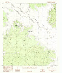 Download a high-resolution, GPS-compatible USGS topo map for Cassells-Boykin Park, TX (1984 edition)