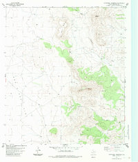 Download a high-resolution, GPS-compatible USGS topo map for Cathedral Mountain, TX (1983 edition)