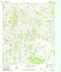 Download a high-resolution, GPS-compatible USGS topo map for Cave Spring, TX (1988 edition)