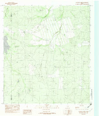 Download a high-resolution, GPS-compatible USGS topo map for Cayetano Creek, TX (1982 edition)