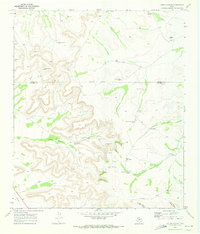Download a high-resolution, GPS-compatible USGS topo map for Cedar Canyon, TX (1973 edition)