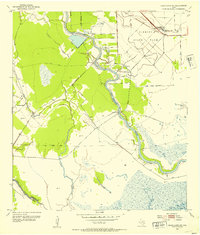 Download a high-resolution, GPS-compatible USGS topo map for Cedar Lane NE, TX (1953 edition)