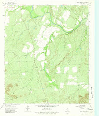 Download a high-resolution, GPS-compatible USGS topo map for Cement Mountain, TX (1981 edition)