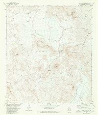 Download a high-resolution, GPS-compatible USGS topo map for Cerro Castellan, TX (1980 edition)