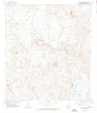 Download a high-resolution, GPS-compatible USGS topo map for Cerro Castellan, TX (1973 edition)