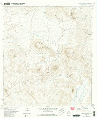 Download a high-resolution, GPS-compatible USGS topo map for Cerro Castellan, TX (1985 edition)