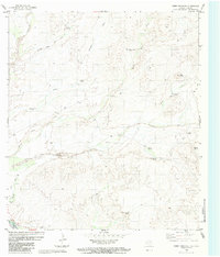 Download a high-resolution, GPS-compatible USGS topo map for Cerro Redondo, TX (1983 edition)