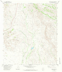 Download a high-resolution, GPS-compatible USGS topo map for Cerros Prietos, TX (1983 edition)