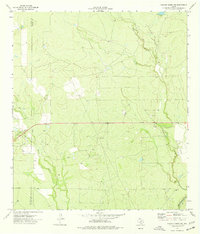 Download a high-resolution, GPS-compatible USGS topo map for Chacon Creek NE, TX (1977 edition)