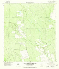 Download a high-resolution, GPS-compatible USGS topo map for Chacon Creek SE, TX (1977 edition)