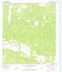 Download a high-resolution, GPS-compatible USGS topo map for Chapman Draw, TX (1973 edition)