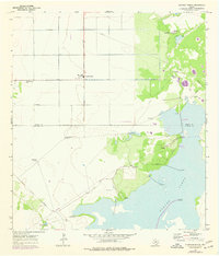 Download a high-resolution, GPS-compatible USGS topo map for Chapman Ranch, TX (1977 edition)