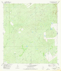 Download a high-resolution, GPS-compatible USGS topo map for Chargos Creek, TX (1980 edition)