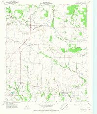 preview thumbnail of historical topo map of Delta County, TX in 1964