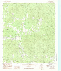 Download a high-resolution, GPS-compatible USGS topo map for Chester, TX (1984 edition)