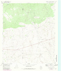 Download a high-resolution, GPS-compatible USGS topo map for Cheyenne Draw SE, TX (1981 edition)