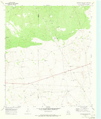Download a high-resolution, GPS-compatible USGS topo map for Cheyenne Draw SE, TX (1973 edition)
