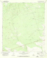 Download a high-resolution, GPS-compatible USGS topo map for Cheyenne Draw SW, TX (1972 edition)