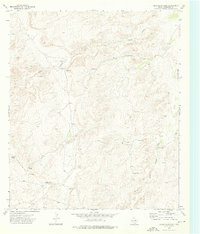 Download a high-resolution, GPS-compatible USGS topo map for Chico Draw East, TX (1976 edition)