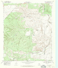Download a high-resolution, GPS-compatible USGS topo map for China Canyon, TX (1971 edition)