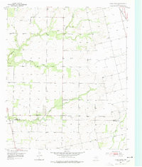 Download a high-resolution, GPS-compatible USGS topo map for China Grove, TX (1977 edition)