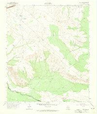 Download a high-resolution, GPS-compatible USGS topo map for China Lake, TX (1965 edition)