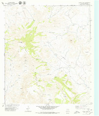Download a high-resolution, GPS-compatible USGS topo map for Chinati Peak, TX (1979 edition)