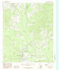 Download a high-resolution, GPS-compatible USGS topo map for Chireno South, TX (1984 edition)
