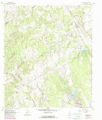 Download a high-resolution, GPS-compatible USGS topo map for Chriesman, TX (1989 edition)