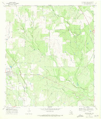Download a high-resolution, GPS-compatible USGS topo map for Christine East, TX (1971 edition)