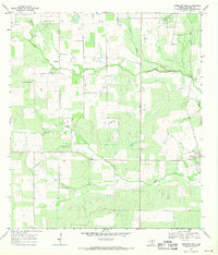 Download a high-resolution, GPS-compatible USGS topo map for Christine West, TX (1971 edition)